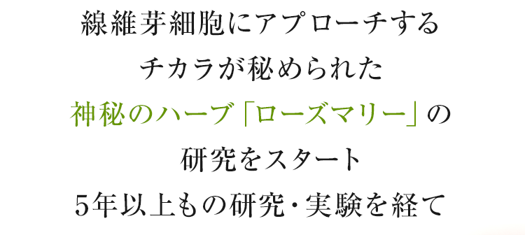 線維芽細胞にアプローチするチカラが秘められた神秘のハーブ「ローズマリー」の研究をスタート5年以上もの研究・実験を経て