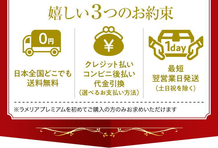1回限りのお試し商品です。定期ではないのでご安心ください。嬉しい３つのお約束　1.日本全国どこでも送料無料2.クレジット払いコンビニ後払い代金引換（選べるお支払い方法）3.最短翌営業日発送（土日祝を除く）